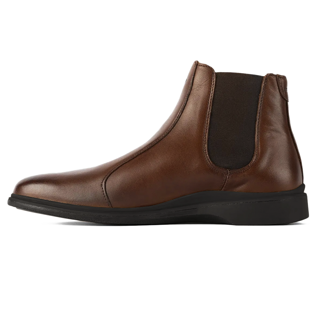 Chestnut & Mocha