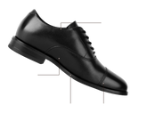 Regent Obsidian Diagram