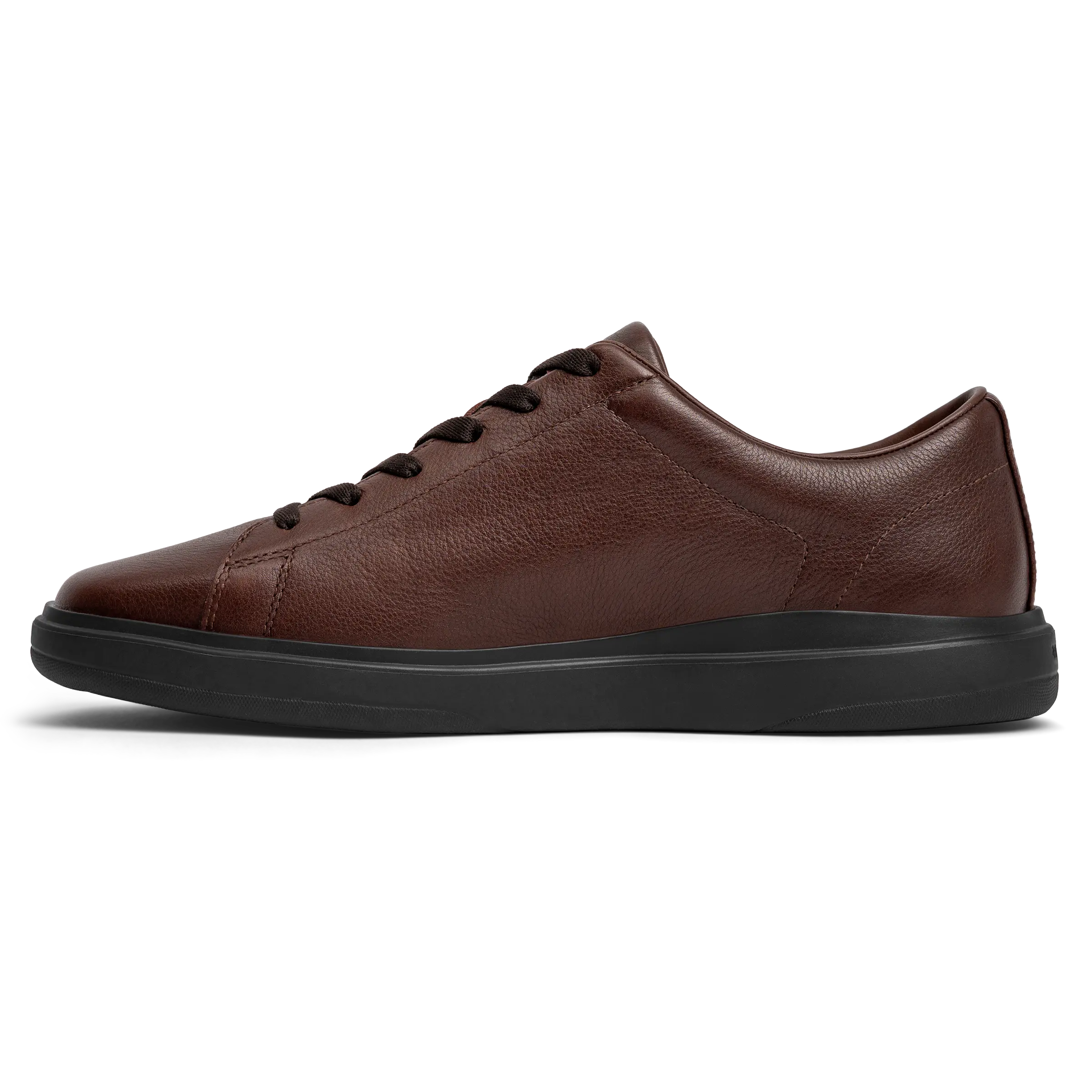 Chestnut & Mocha